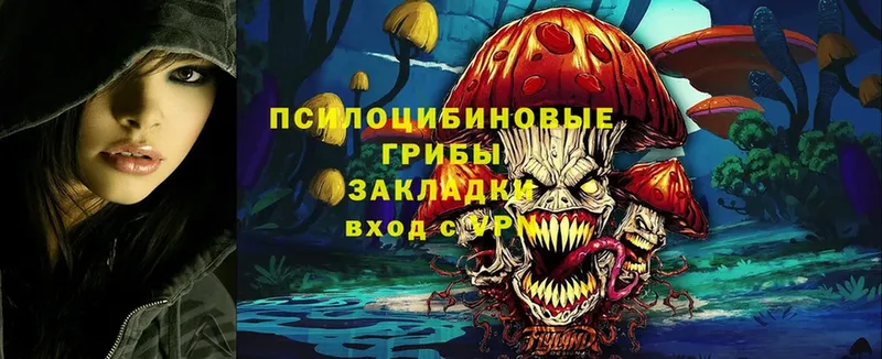 Псилоцибиновые грибы Magic Shrooms  что такое наркотик  Венёв 